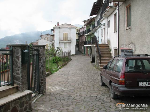 Rughe suprane 003